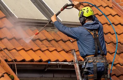 Démoussage et hydrofuge de toiture à Lamonzie-Montastruc